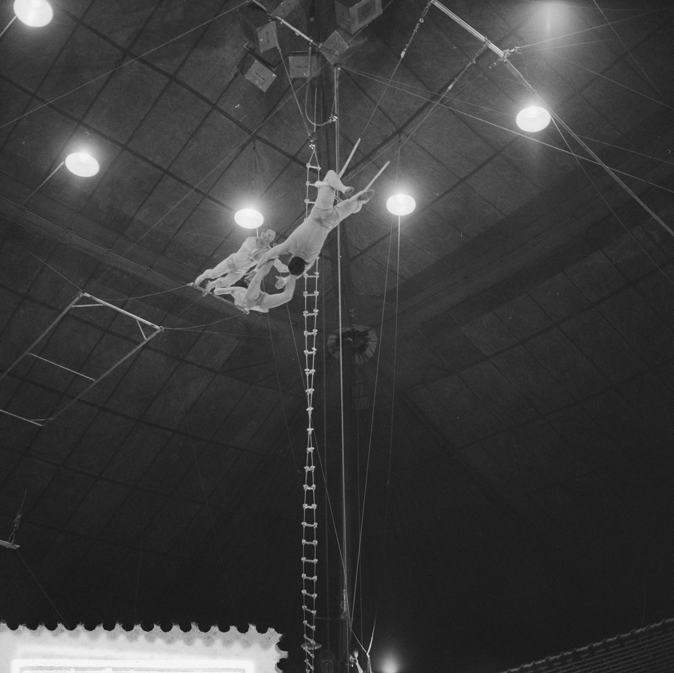 Schwarzes und weißes Foto von zwei Akrobaten auf einem Trapez in einem Zirkus, mit Zuschauern und Deckenlampen.