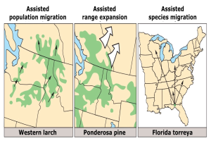 Plakat mit einer USA-Karte, auf der verschiedene Arten der unterstützten Bevölkerungsmigration hervorgehoben sind, begleitet von erklärendem Text.