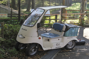 Elektro-Scooter neben einer Straße geparkt, neben einem Metallzaun, einem Schild, Bäumen, Pflanzen und Gras, mit sichtbarer Baumrinde.