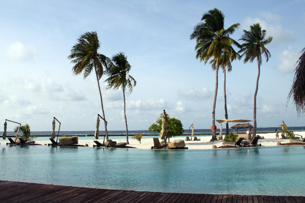 Eine Strandszene mit Wasser, Strandliegen und Bäumen im Hintergrund.