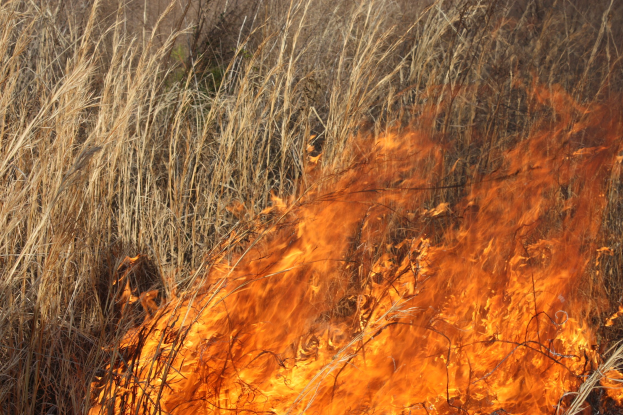 Verschreibungspflichtige Feuer in einem hohen Grasfeld mit aufsteigendem Rauch.