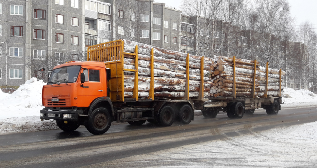 Ein Lastwagen mit Holz fährt auf einer verschneiten Straße mit Bäumen, Gebäuden und einem klaren Himmel im Hintergrund.