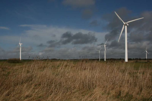 Ein Feld von Windkraftanlagen in einer grasbewachsenen Fläche mit Bäumen im Hintergrund und Wolken am Himmel, als Windpark in den Niederlanden beschriftet.