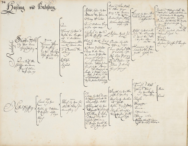 Ein altes Buch mit einer handgeschriebenen Familiengeschichte, die die Familienmitglieder eines Mannes zeigt, der bei einem Autounfall getötet wurde, mit Namen, die wahrscheinlich mit dem Vorfall in Verbindung stehen.