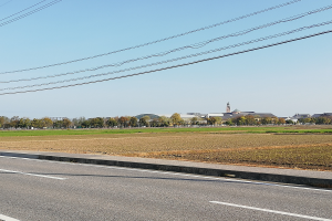 Eine Stra├če mit Stromleitungen, die entlang verlaufen, umgeben von Feldern, B├Ąumen und Geb├Ąuden im Hintergrund unter einem klaren blauen Himmel.