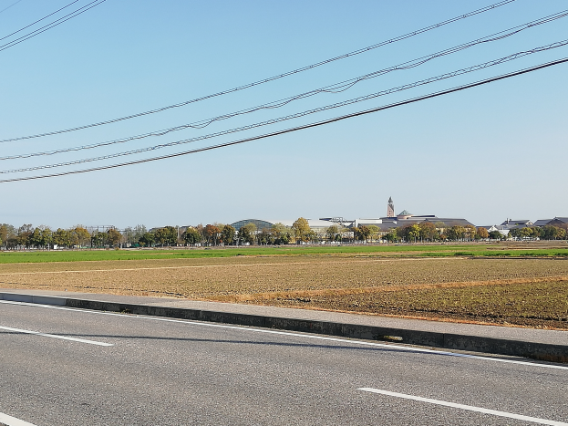 Eine Stra├če mit Stromleitungen, die entlang verlaufen, umgeben von Feldern, B├Ąumen und Geb├Ąuden im Hintergrund unter einem klaren blauen Himmel.