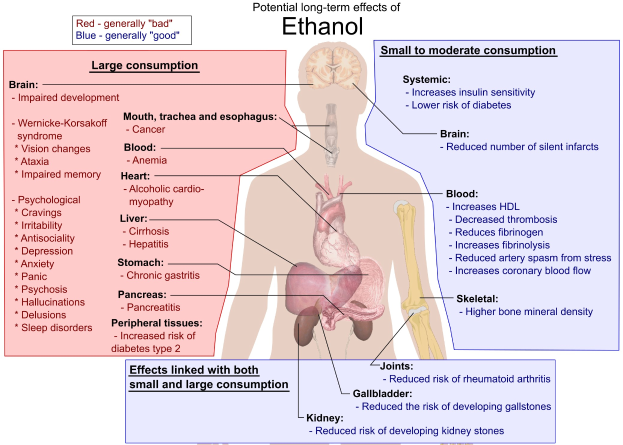 Diagramm des menschlichen Körpers mit "Ethanol" beschriftet, das die möglichen langfristigen Auswirkungen von Ethanol auf den Körper zeigt.