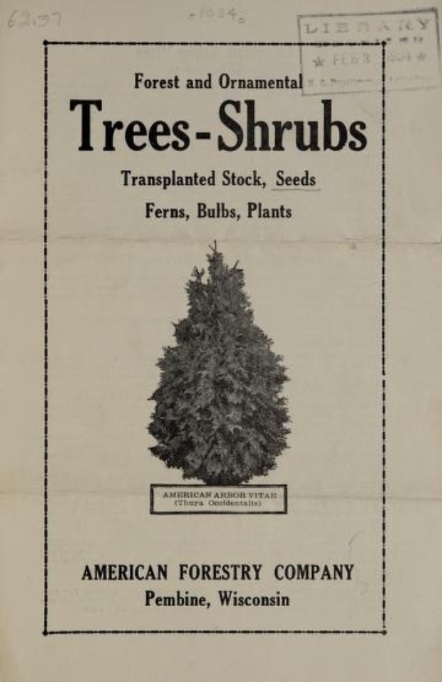 Ein altes Buch mit dem Titel "Baum-Sträucher" von der American Forestry Company, das einen Weihnachtsbaum mit bunten Schmuck und Lichtern auf dem Cover zeigt.