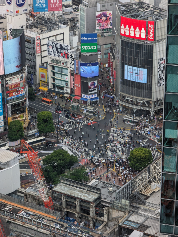 Eine belebte Stadtstraße mit starkem Verkehr, hohen Gebäuden, Fahrzeugen, Bäumen, Pfählen und Tafeln mit Text und Bildern, mit einem Wasserzeichen unten.