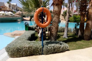 Ein Schwimmbad mit einem Schwimmring in der Mitte, umgeben von grünem Gras, Pflanzen, Bäumen, Gebäuden, Sonnenschirmen und einem klaren blauen Himmel.