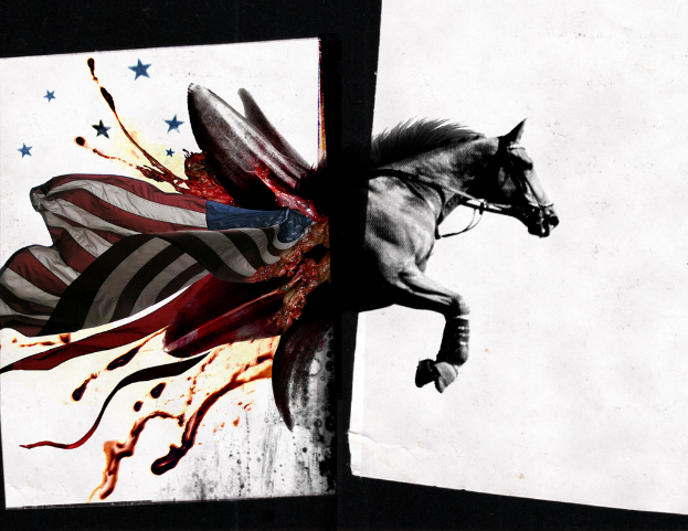 Ein Bild, das ein Pferd zeigt.