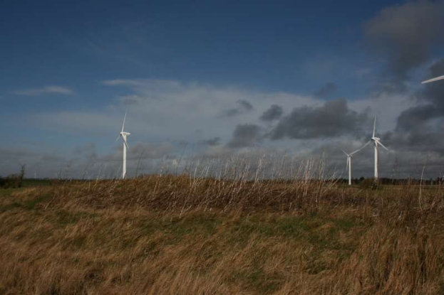 Ein Feld von Windkraftanlagen in einer grasbewachsenen Fläche mit Bäumen im Hintergrund und Wolken am Himmel, wahrscheinlich Teil eines Windparks in den Niederlanden.