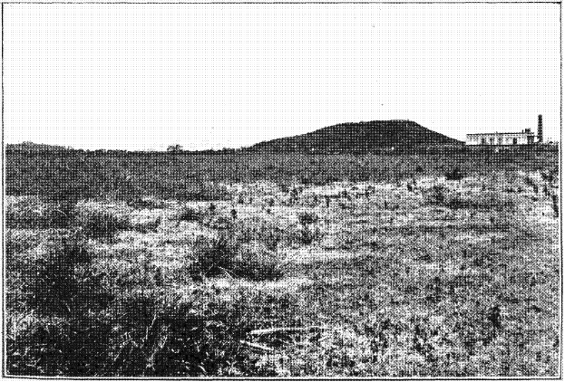 Ein Schwarz-Weiß-Foto eines Feldes mit einem Hügel im Hintergrund, einem Gebäude auf der rechten Seite und einem Himmel oben sowie dem Text "New York State Penitentiary" unten.