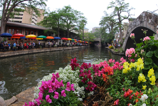 Eine Szene mit einem Restaurant links, wo Menschen unter Schirmen sitzen, ein Kanal in der Mitte und viele Pflanzen rechts, mit Bäumen und Himmel im Hintergrund.