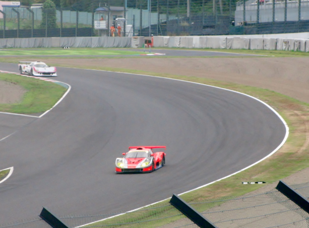 Zwei Sportwagen auf einer von Gras, Zaun, Pfosten, Bäumen und Gebäuden umgebenen Rennstrecke