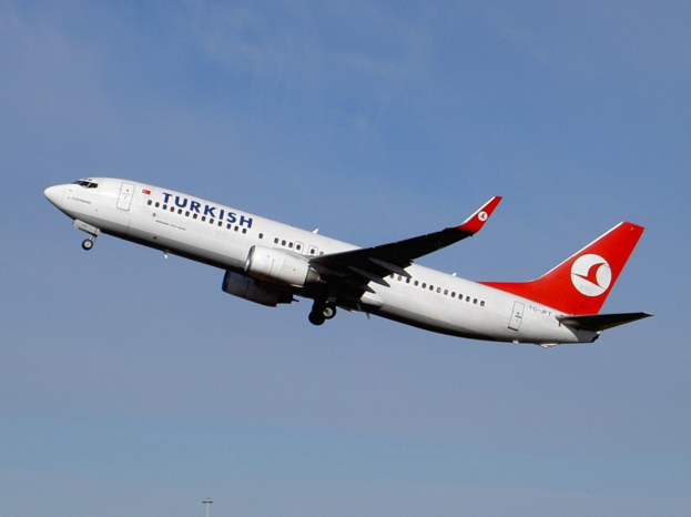 Ein Airbus A320-200 der Turkish Airlines fliegt in einem klaren blauen Himmel mit einem Pfahl am unteren Ende des Bildes.