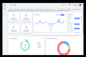 Ein Laptop-Bildschirm, der ein Finanzmanagement-Dashboard mit Grafiken und Text auf einem weißen Hintergrund mit einem blauen Header anzeigt.