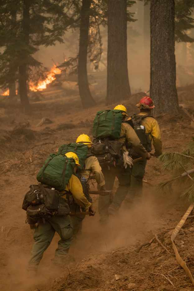 Eine Gruppe von Feuerwehrleuten in Helmen und Rütsäcken geht durch einen Wald mit einem Feuer in der Ferne.