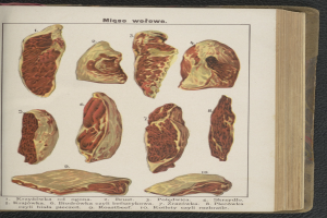 Offenes Buch mit detaillierten Bildern und Texten über verschiedene Fleischsorten, die auf einer schwarzen Oberfläche angezeigt werden.