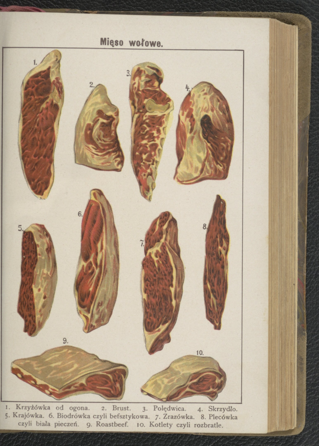 Offenes Buch mit detaillierten Bildern und Texten über verschiedene Fleischsorten, die auf einer schwarzen Oberfläche angezeigt werden.