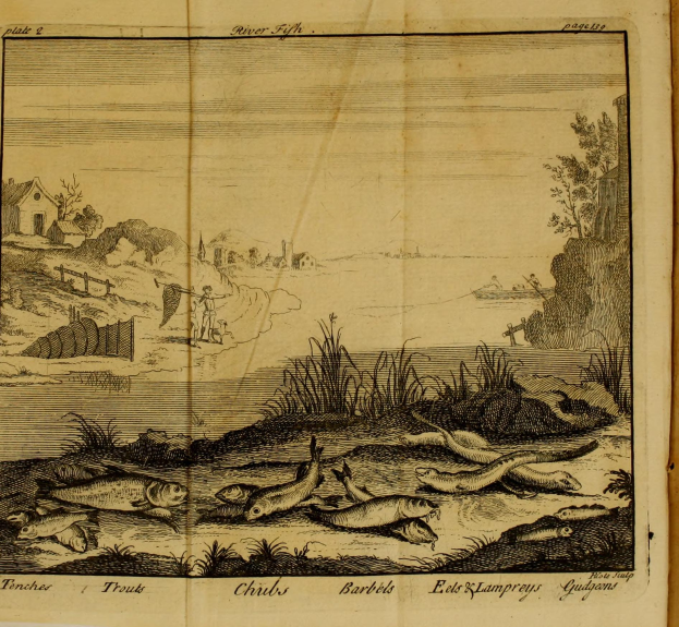 Ein offenes Buch mit einer Zeichnung einer Flussszene mit Fischen im Wasser, umgeben von Pflanzen, Bäumen, Häusern und anderen Gegenständen, mit Text unten.