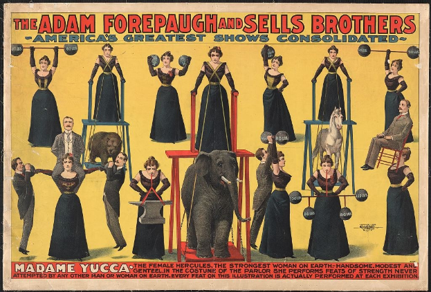 Plakat für die konsolidierte Zirkus-Show von Adam Forepaugh und Sells Brothers mit Künstlern auf Hockern, einem Elefanten und Werbetext.