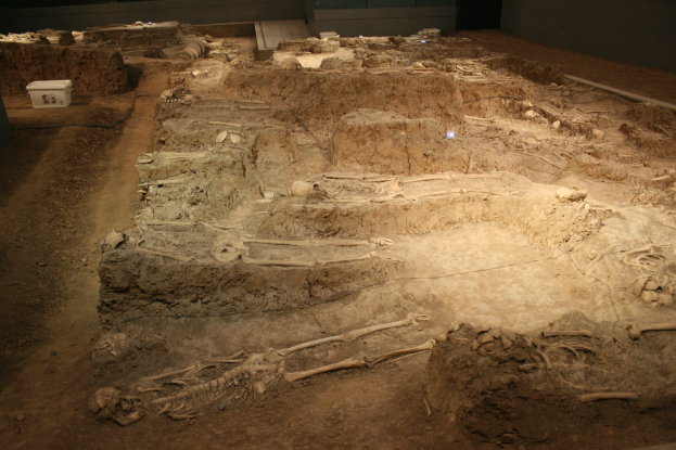 Ein Skelett in einem Museum, mit schlammbedecktem Boden, einer weißen Box links und einer Wand im Hintergrund.