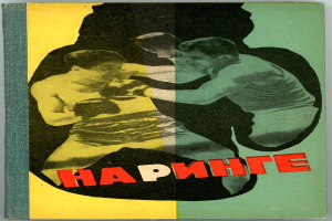 Buchumschlag mit zwei Männern in Boxhaltung, einer wirft einen Schlag, betitelt 'Boxen'.