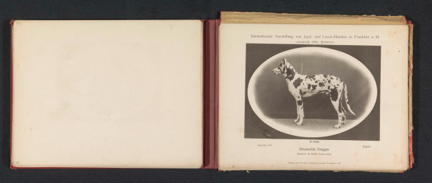 Ein aufgeschlagenes Buch mit dem Titel "Internationale Ausstellung von Jagd- und Luxus-Hunden zu Frankfurt a M" mit einem Schwarz-Weiß-Foto eines Hundes und begleitendem Text.