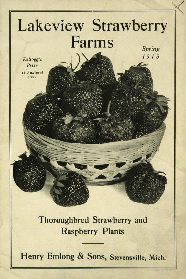 Plakat aus dem Frühling 1915 für Lakeview Erdbeerfarmen mit einem Korb reifer roter Erdbeeren und dem Text "Zuchtstamm Erdbeeren und Himbeeren."