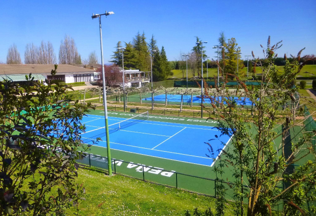 Ein Tennisplatz mit Netz, umgeben von grünem Gras, B├Ąumen, Geb├Ąuden und Laternen unter einem klaren blauen Himmel.
