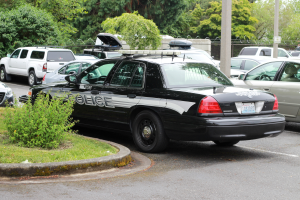 Ein Polizeiwagen auf einem Parkplatz mit anderen Autos umgeben von Gras, Pflanzen, Bäumen, Pfählen und Maschendraht unter einem klaren blauen Himmel.