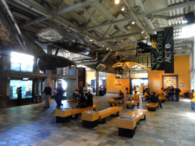 Ein großer Raum mit Menschen auf Bänken und Stehplätzen, von der Decke hängende Banner, Lichter, ein Display auf der linken Seite und verschiedene Gegenstände im Hintergrund, ähnlich einem Museums Setting.