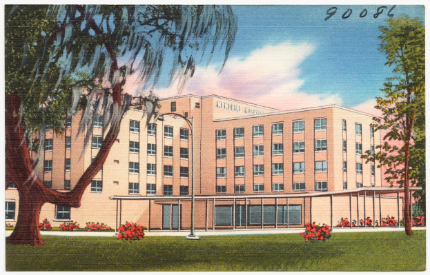 Eine animierte Abbildung eines institutionellen Gebäudes, umgeben von Gras, Pflanzen, Bäumen und einem Himmel mit Wolken.