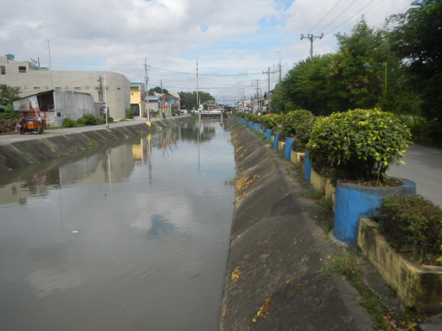 Flutstraße in der Stadt mit Wasser auf der Straße, Fahrzeugen auf der linken Seite, Grünfläche auf der rechten Seite, Gebäuden und Strommasten im Hintergrund und einer bewölkten Himmel