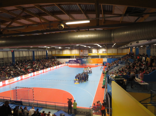 Große Halle mit Zuschauern bei einem Handballspiel, mit Sitz- und Stehplätzen, einem Netz auf der linken Seite, Texttafeln im Hintergrund und Beleuchtung und Rohren oben.
