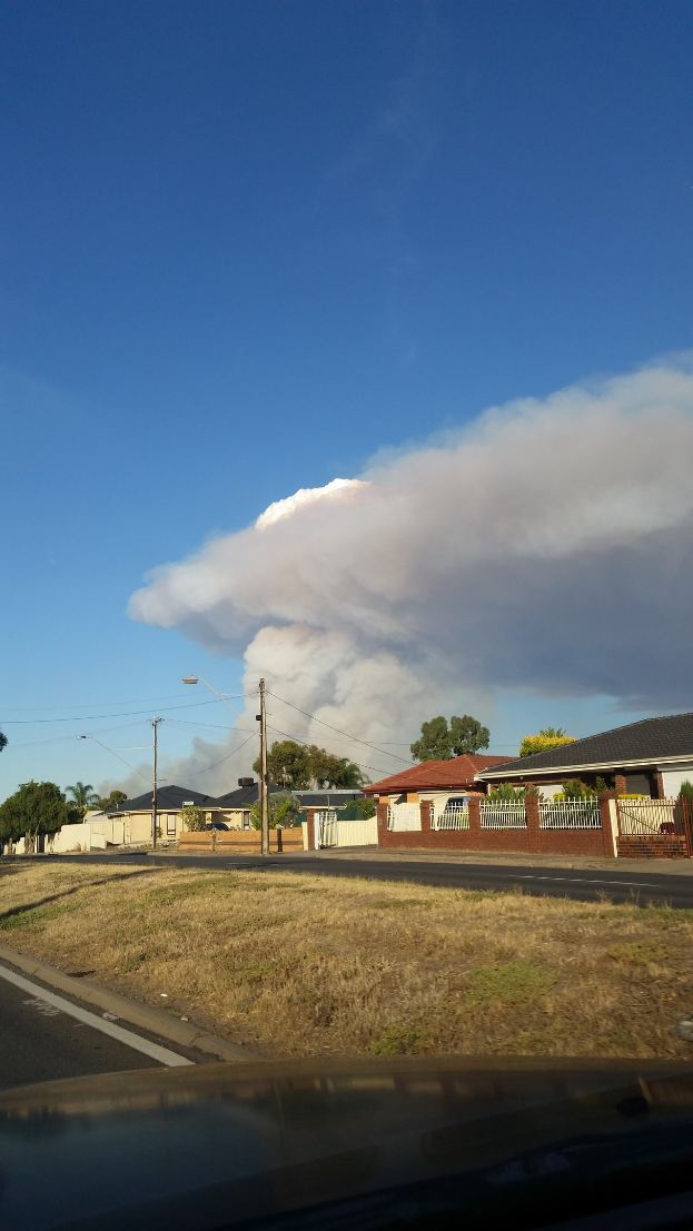 Ein Auto fährt eine Straße entlang und gibt eine große Rauchwolke ab, umgeben von Gras, Häusern, Bäumen, Polen und Straßenlaternen.