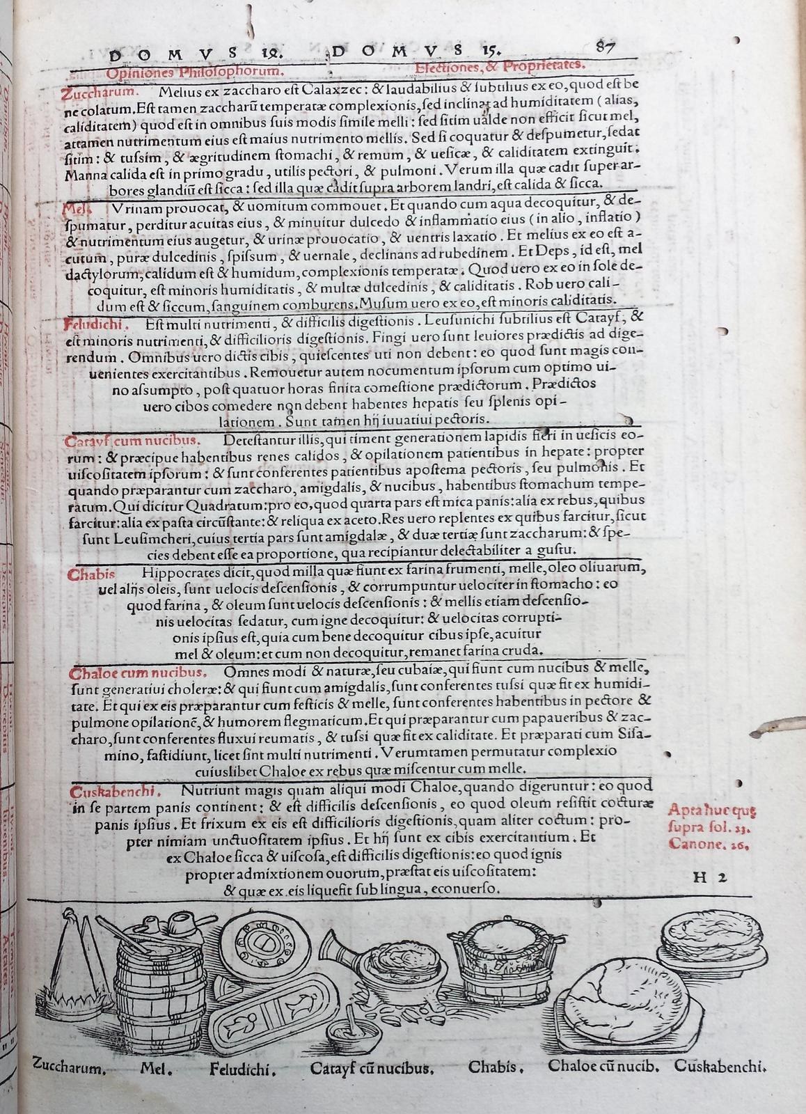 Offenes Buch mit detaillierten Illustrationen von Obst, Gemüse und Getreide neben mehrfarbigem Text in verschiedenen Schriften.