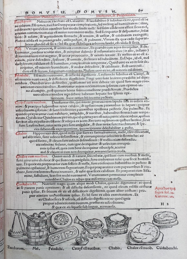 Offenes Buch mit detaillierten Illustrationen von Obst, Gemüse und Getreide neben mehrfarbigem Text in verschiedenen Schriften.
