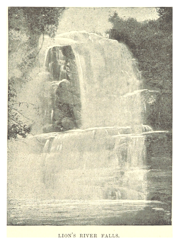 Ein majestätischer Wasserfall, der eine felsige Klippe hinabstürzt und von üppigen Bäumen umgeben ist, mit dem Text "Löwenflussfälle" unten.